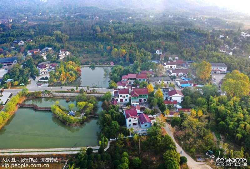郁郁葱葱的全国首批乡村旅游重点村桃园村全景。